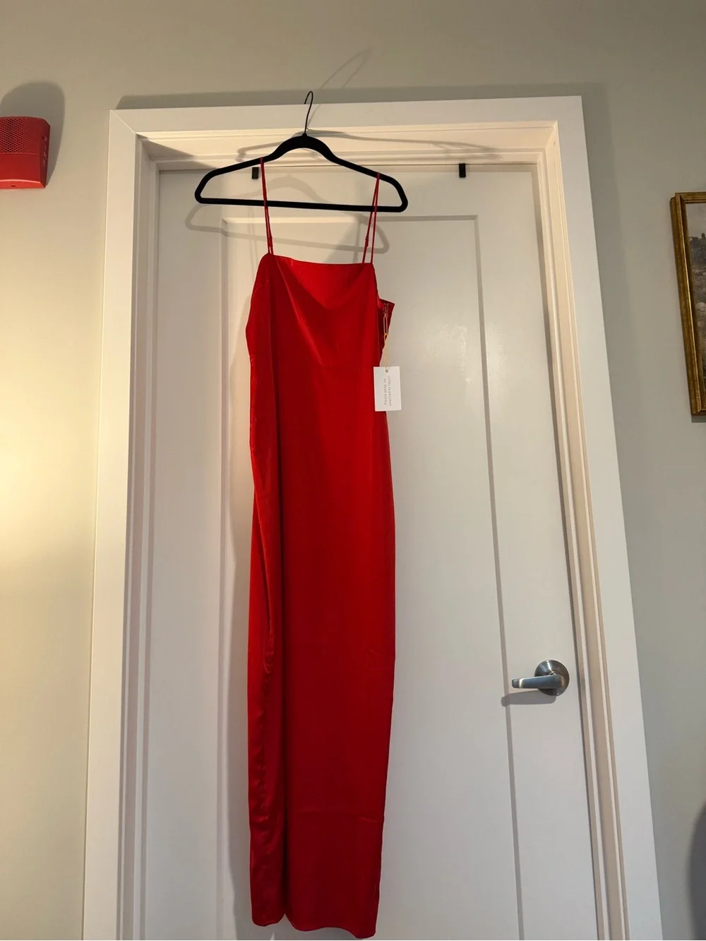 Backyard Roses Aurora Dress Size Small NWT - Picture 8 of 15